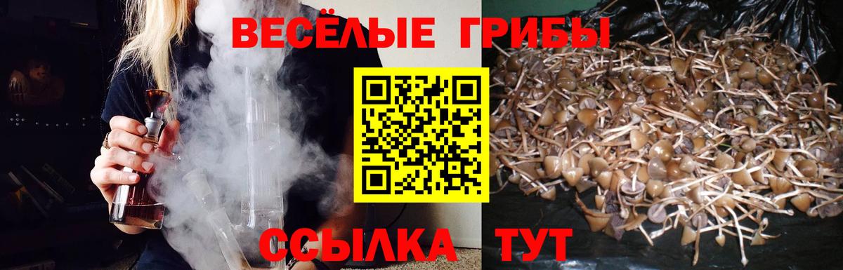 Галлюциногенные грибы ЛСД Сарапул